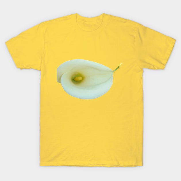 Calla Lily Trumpet-shaped Bract Cut Out T-Shirt by taiche